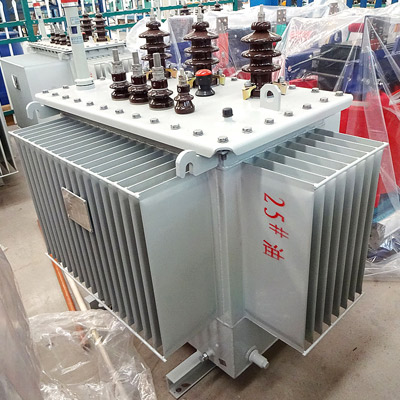 S11 315kVA 10kv 3 Phase Oil-Immersed Electric Distribution Transformer