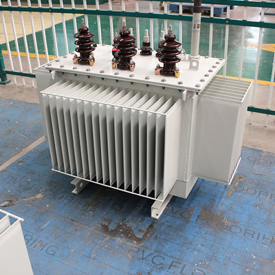 S11 315kVA 10kv 3 Phase Oil-Immersed Electric Distribution Transformer