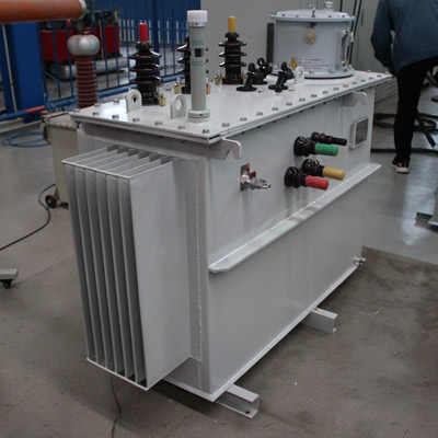 Sz11 315kVA 10/0.4kV on-Load Regulating Oil-Immersed Power Transformer